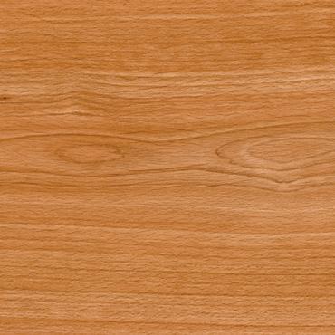 CD8244 Oriental Beech - Maler Lambert